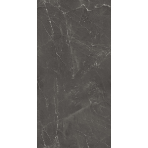 Керамогранит AVS Nivea Grey 60x120 полированный Керамогранит AVS Nivea Grey 60x120 полированный