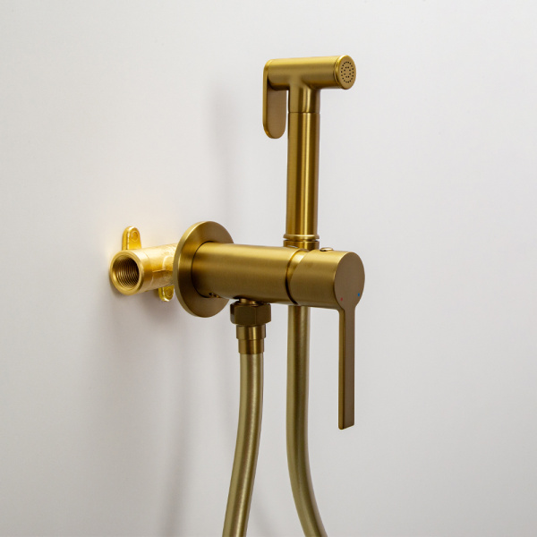 Гигиенический душ со смесителем AVS Elegant брашированное золото
