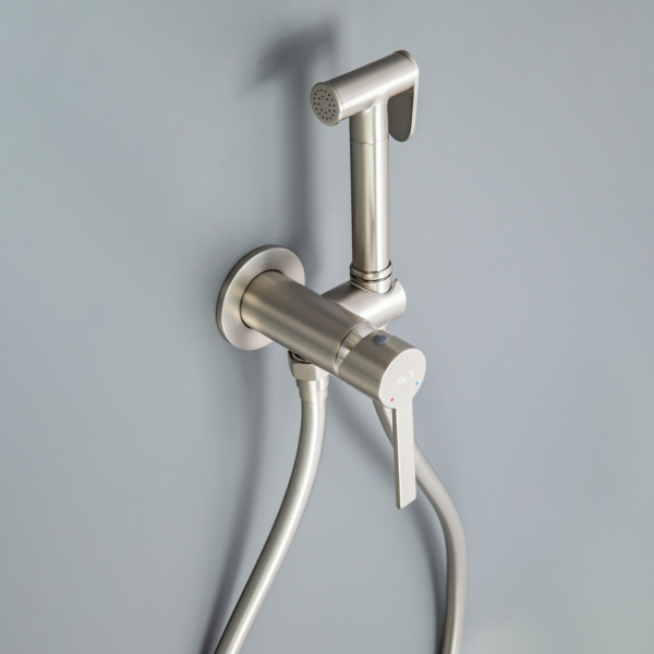 Гигиенический душ со смесителем AVS Elegant брашированный никель