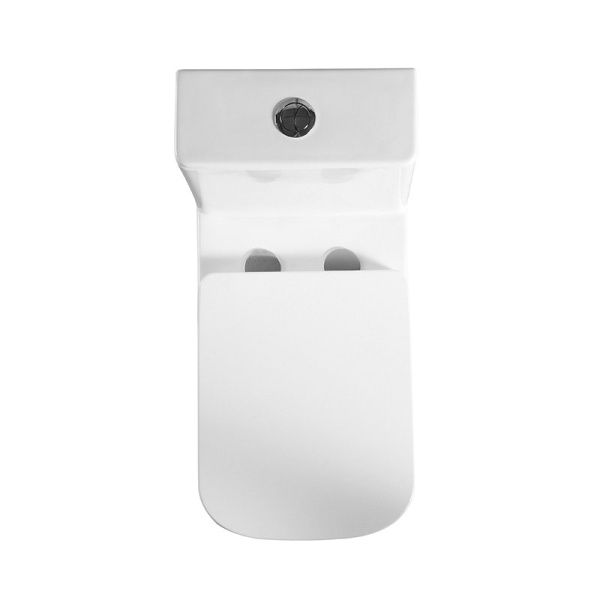 Унитаз-моноблок BelBagno Neon BB8617CPR-MN/SC безободковый с микролифтом Унитаз-моноблок BelBagno Neon BB8617CPR-MN/SC безободковый с микролифтом
