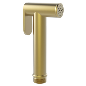 Гигиенический душ AVS 811-610-BG брашированное золото