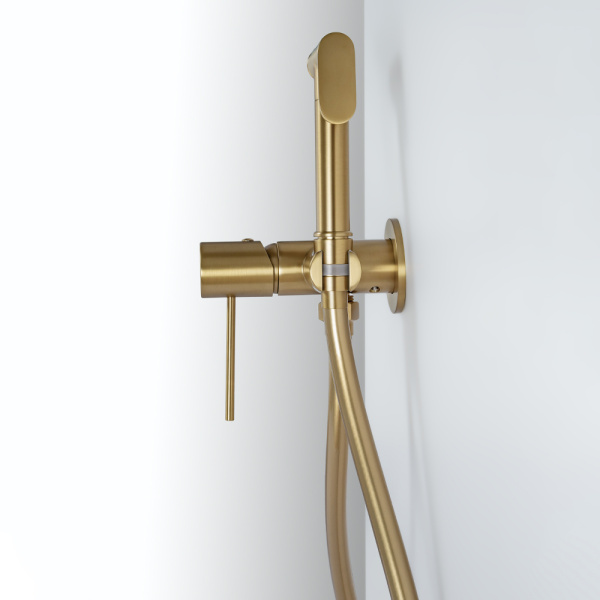 Гигиенический душ со смесителем AVS Slimmer брашированное золото